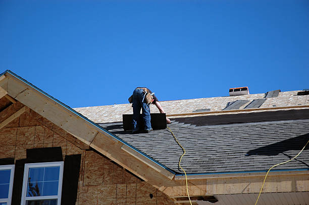 Best Roof Leak Repair  in Diamond, IL